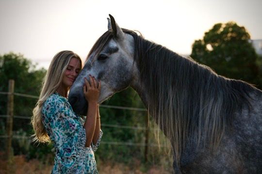horse meditation