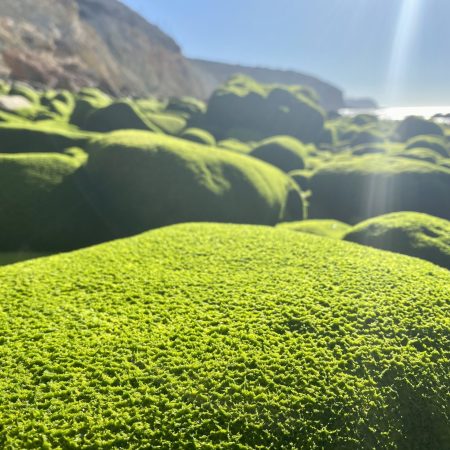 Algarve Mindful Hike