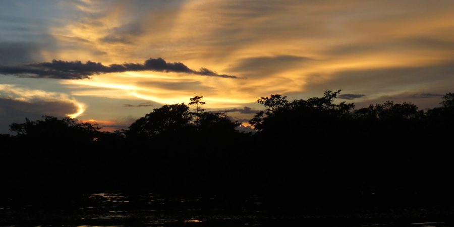 Amazonas retreat Amazonas retreat