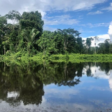 Amazonas retreat